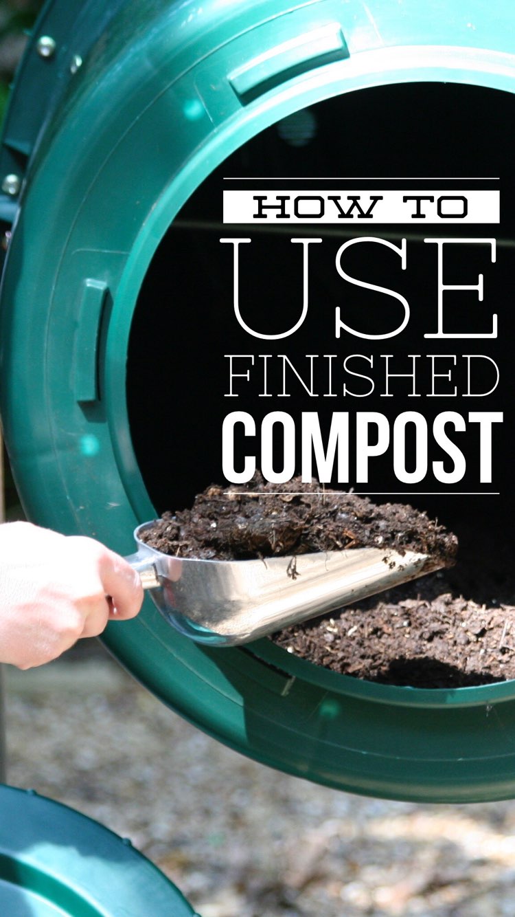How to Use Compost in Your Yard and Garden