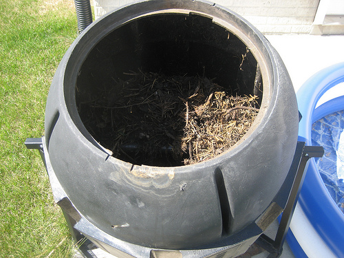 Compost in Bin