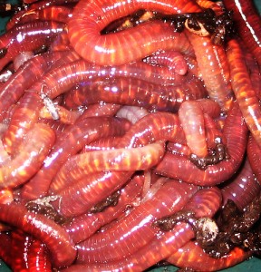 07-237711904_b9170f8c70